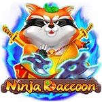Ninja Raccoon