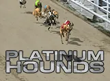 Dogs - Platinum Hounds