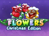Flowers Christmas Edition?