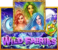 Wild Fairies